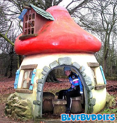 real smurf house
